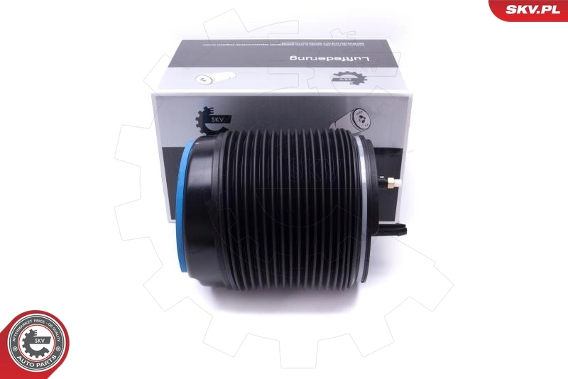 Air Spring, suspension
